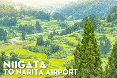 Niigata to Narita airport
