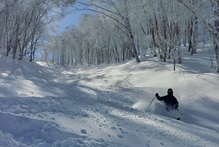 龍王滑雪場